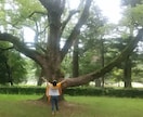 目覚めと次元上昇「なな色天使のヒーリング」をします 7色の天使達があなたの目覚めと再生を力強く助けるプログラム イメージ5