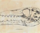 インテリア用絵図鑑風イラスト描きます アンティーク調の部屋を演出したい方へ イメージ3