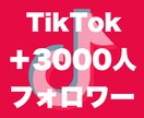 Tiktokフォロワー3000人増やします 評価貯まるまで最安★フォロワー確実に増加させます！ イメージ8