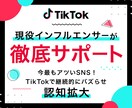 TikTok現役インフルエンサーが運用代行します 「継続的」にバズらせるロジックを伝授します イメージ1