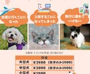 リーズナブルな価格で伝わるチラシ作成します お手頃な価格でお客様のご要望に沿ったチラシを作成いたします。 イメージ5