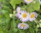 色々なお話を聞きます 身近な人に話せない事、愚痴聞きます。 イメージ2