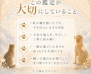 虹の橋を渡ったペットちゃんの気持ち霊視します 家族として大切なあの子との『心の対話』をお届けします イメージ5