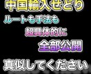 仕入れルート公開。1〜10まで全て教えます 誰にでもわかるよう中国輸入せどりを超実践的に教えます。 イメージ1