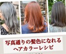 写真通りの髪色になれるヘアカラーレシピを提供します 【実績あり】インスタで流行りの髪色になりたい女子大生・必見 イメージ1