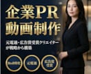 元電通・広告のプロがあなたが欲しい動画作ります 広告動画、企業PR動画等、電通出身のプロにお任せください！ イメージ1