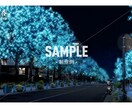 イルミネーション用のイメージ画像を制作します 昼→夜へのシュチエーション変換もお任せください。 イメージ4
