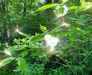 あなたに寄り添って、聞きます ただただ聞きます。包み込みます。 イメージ2