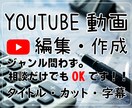 YouTube/その他動画の編集承ります シンプルな価格設定。初心者さんにお勧め。 イメージ2