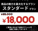 スタンダードプラン！商品の魅力を最大化します お試し価格！法人品質デザインを特別提供【キャンペーン価格】 イメージ2