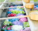 究極の霊視鑑定 ♡ 紫念霊視で恋愛成就へ導きます 【限定500円】復縁、片想い、複雑愛…想いの全てを視抜きます イメージ10