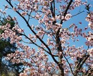 お子様からご年配の方までお話ききます あなたの辿る長い道のり。心の道の駅で一休み イメージ1