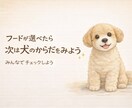 犬の食事やフードの不安を一緒に整理します 今のごはんが合っているか 迷っている方へ イメージ3