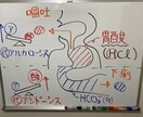 看護学生さん必見！完全個別サポートを行います 国家試験対策・実習対策、なんでもご相談ください⭐️ イメージ6