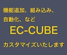 ECCUBEのカスタマイズ承ります カスタマイズから、バージョンアップ、制作まで幅広く対応！ イメージ1