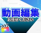 動画のカット、テロップ打ち担当します 動画編集のカット、テロップ打ち イメージ1