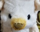 あなたが実はどんな人かをお教えします 自分がわからなくなったときのヒントにしてください！ イメージ1