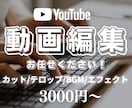 格安なのに高品質な動画編集を承ります 格安でも妥協なし。高品質な動画編集をお届けします。 イメージ1