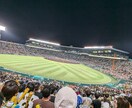 野球場で撮影した写真を販売します 趣味で撮った写真(甲子園やエスコンでの)を提供します イメージ1