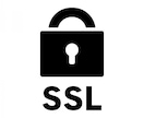 お持ちのホームページをSSL化(https)します ホームページを安全に運用しませんか？ イメージ1