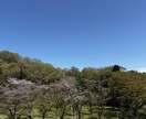 景色や花等、風景写真を撮っています 行けないところの景色を提供します。 イメージ5