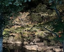 お相手の気持ちを鑑定します SNS・アプリ・ゲーム内での恋愛について鑑定し導きます。 イメージ9