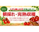 売れる売場作りをサポートします 届いたその日から売場で使える販促セットをお届けします。 イメージ6