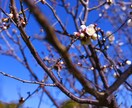 写真を代行します 見たことの無い景色をあなたへ。。 イメージ2