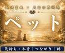 亡くなったあの子の想いと魂の現在地を霊視します 本当に幸せだったのか。今もあなたへ向けている想いを伝えます イメージ1