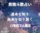 運勢の全てを見通す！13項目フル鑑定します 紫微斗数で運勢の全てを見通す！13項目フル鑑定 イメージ1