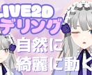 Vtuber活動者が作るLive2Dモデル作ります 「画面映えする」配信にぴったりのLive2Dモデル仕上げます イメージ1