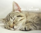 聴き役に徹します！あなたの思いを、ただただ聴きます セラピストで相談経験豊富！思いのままに、話してすっきり！ イメージ9