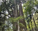 あなたの心の倉庫になります 秘密厳守!あなたのどこにも向けられない気持ち受け止めます! イメージ2