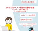 SNSアカウント診断＆運用改善します アーティスト支援実績あり！SNS改善をサポートします イメージ1