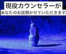現役カウンセラーが秘密厳守でお話聞きます 愚痴、悩みを聞いて！肯定して！お酒を飲みながら！なんでもOK イメージ1
