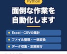 Pythonで面倒な作業を自動化するツール作ります Excel集計やファイル整理を自動化｜手順書つきで安心 イメージ1