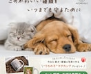 共感を“設計”して反応につなげる広告バナー作ります 誰に向けた広告か曖昧な状態を整理し、伝わる形にします イメージ4