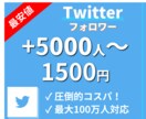 最安★Twitterのフォロワー数増やします アカウントの"影響力"を高めるお手伝いをします！1500回分 イメージ1