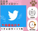 Twitterのフォロワー1500人増やします 海外1フォロワー＝1円の低価格&スピード納品&高品質 イメージ1