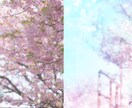 写真を映画のように加工します 日常の写真を印象的に仕上げます イメージ4