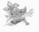 可愛い「ウチの子」を誕生花と共にお描きします 大事なペットのお顔を誕生花を添えて鉛筆画に イメージ5