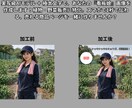 楽天・yahoo売れる商品画像加工します スマホ視認性117％！パッと目を引く極太縁取りとレイアウト イメージ3