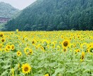 あなたのお話を聞きます 1人で抱え込まないで！優しくぜんぶ受けとめます！ イメージ4