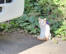 悩み、恋愛、雑談など、関西住みパパがお聞きします お試しでも大丈夫です！なんでもお気軽にお願いします！ イメージ7
