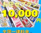 予算1万円で販促チラシをお任せ配布します エリア選定から配布までプロに丸投げOK！ イメージ1
