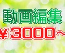 YouTube動画編集代行致します 低価格で高品質な動画をお届けします！ イメージ1