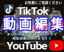 TikTok用動画の編集作成します 少しだけ高い動画クオリティで再生回数は伸びます！！ イメージ1
