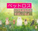 ペットロス。お話聞きます 思い出話、悲しい気持ち、なんでも話してくださいね。 イメージ1