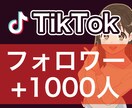 TikTokフォロワー増加！1000人宣伝します ティックトックフォロワー増加されるまで宣伝します！ イメージ1
