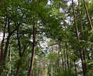 死にたいあなたの話を聞きます 何度も自殺未遂をしたからこそ伝えたいことがあります。 イメージ1